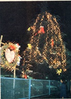 クリスマスライトアップの写真